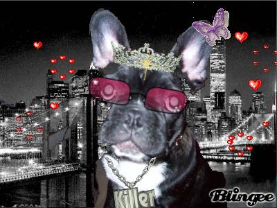 douchka a new york lol!!!!